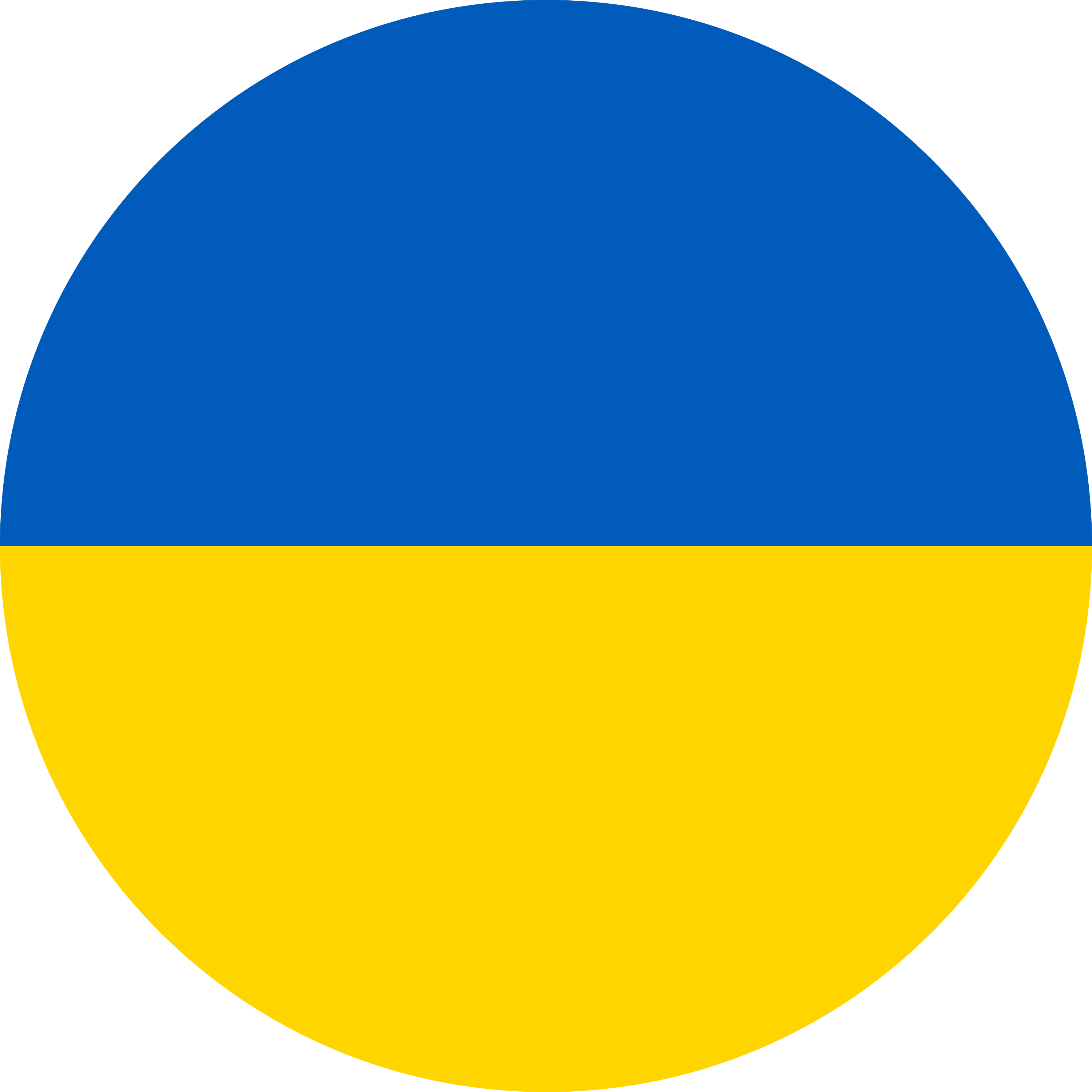 Frodsham For Ukraine Charity Event